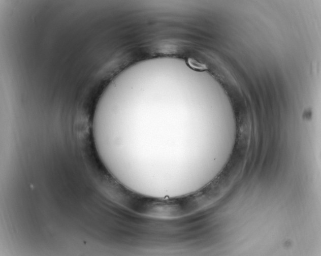 X0000103330555200809192207