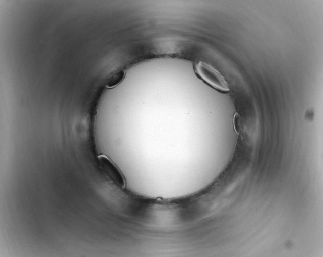 X0000103330556200809192207