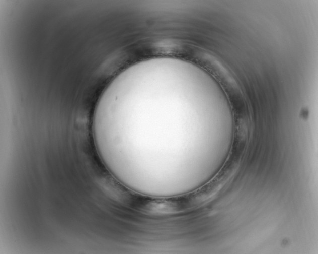 X0000103330557200809192207