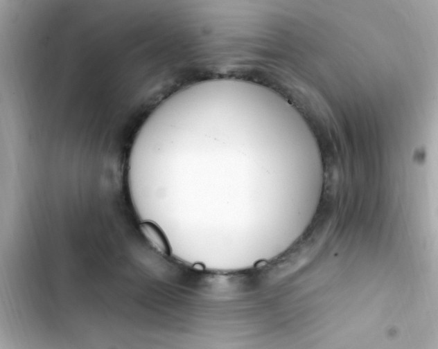 X0000103330558200809192207