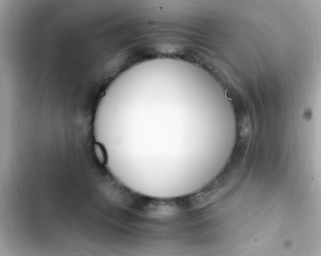 X0000103330559200809192207