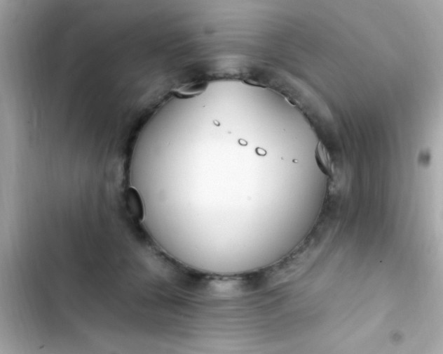 X0000103330560200809192207