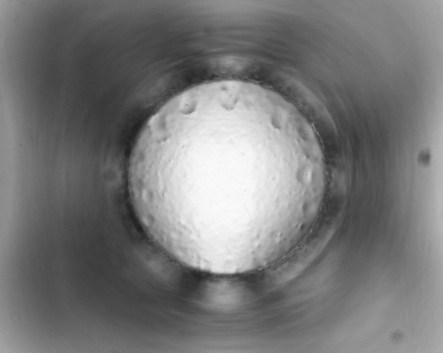 X0000103330561200809192207