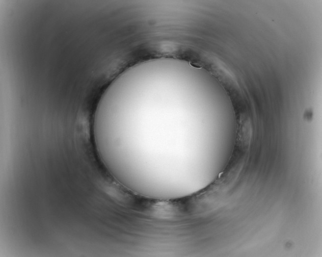 X0000103330562200809192207