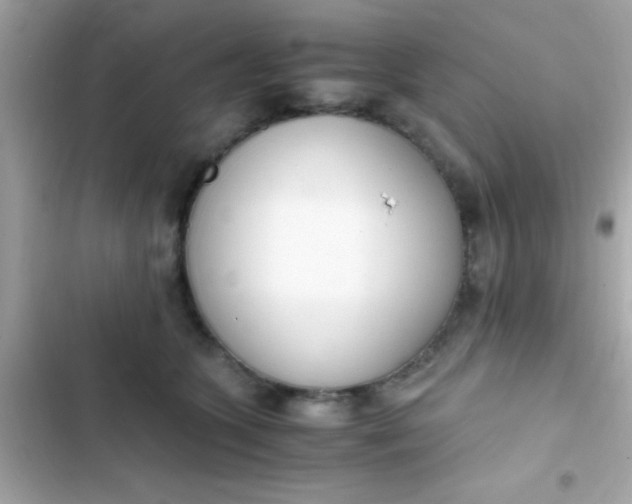 X0000103330563200809192207