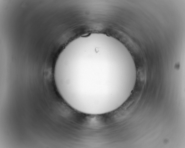 X0000103330564200809192207