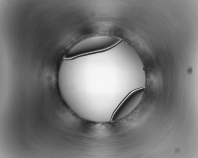 X0000103330566200809192207