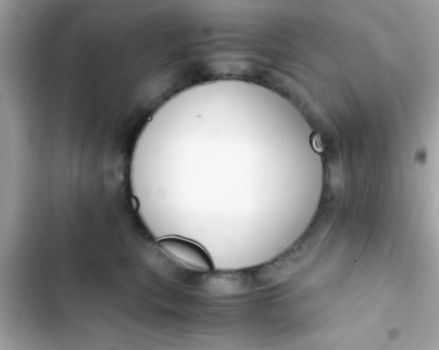 X0000103330567200809192207