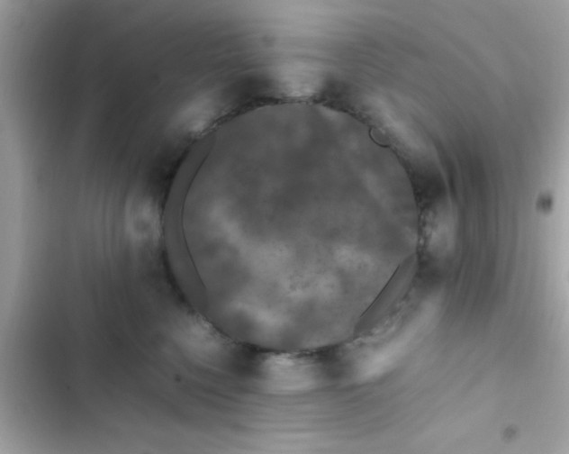 X0000103330568200809192207