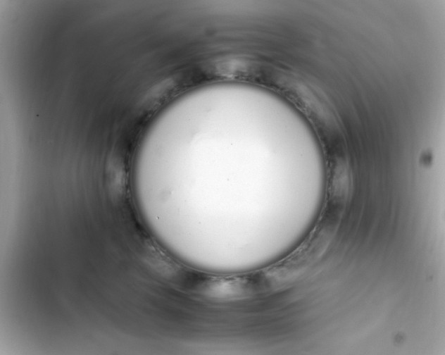 X0000103330569200809192207