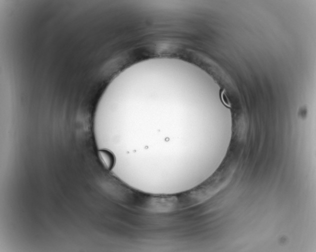 X0000103330571200809192207