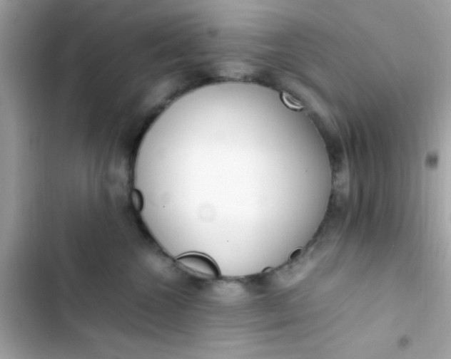 X0000103330572200809192207