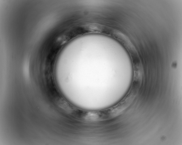 X0000103330573200809192207