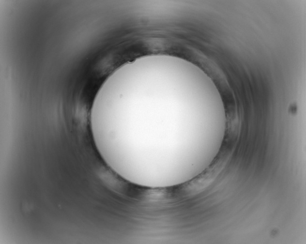 X0000103330574200809192207