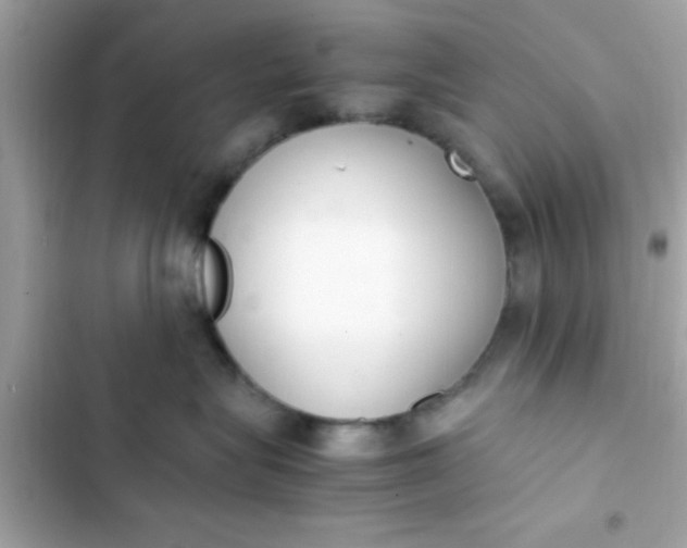 X0000103330575200809192207