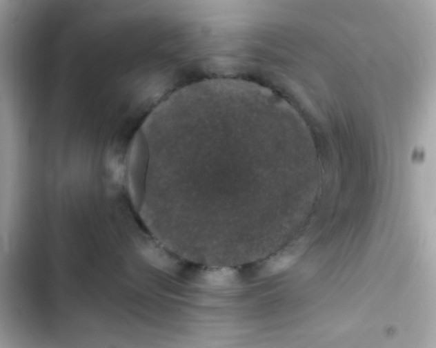 X0000103330576200809192207