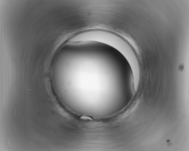 X0000103330577200809192206