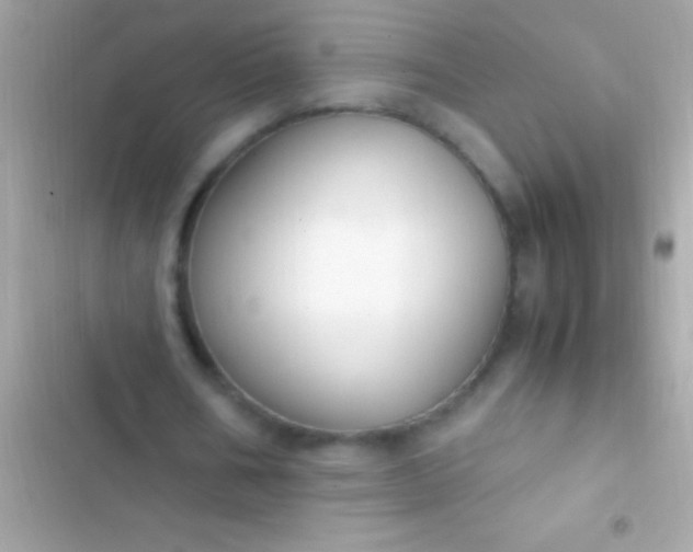 X0000103330578200809192206