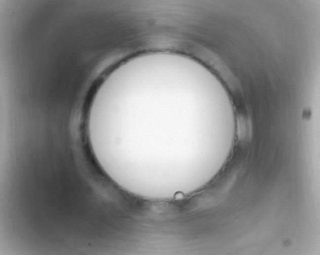 X0000103330579200809192206