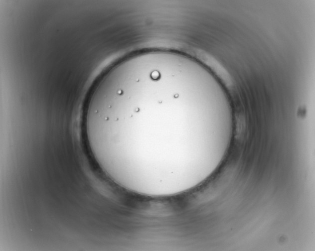 X0000103330580200809192206