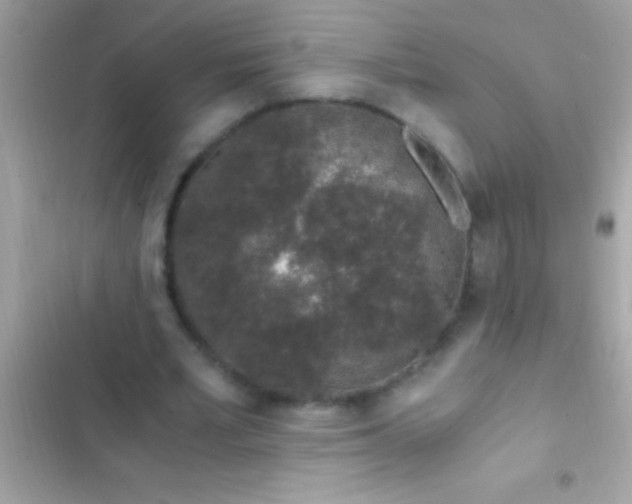 X0000103330581200809192206