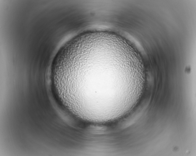 X0000103330582200809192206