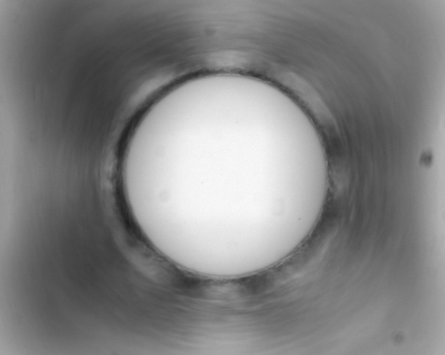 X0000103330583200809192206