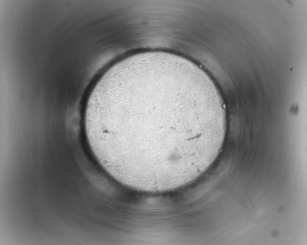 X0000103330584200809192206