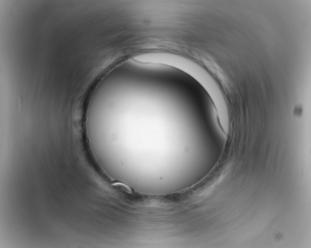 X0000103330585200809192206