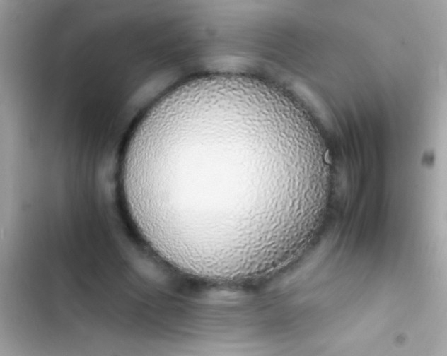 X0000103330586200809192206