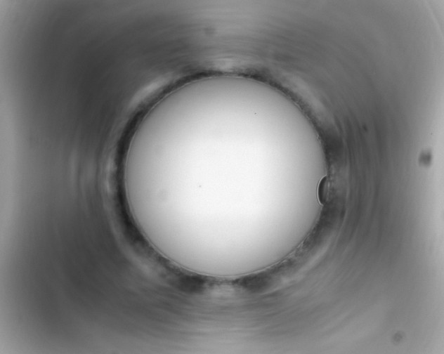 X0000103330587200809192206