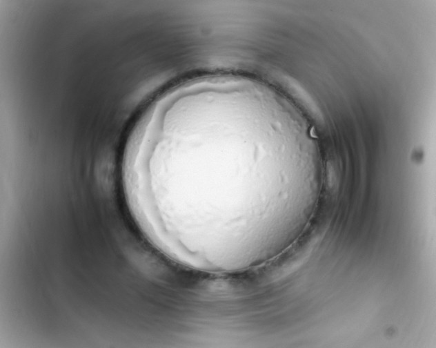 X0000103330588200809192206