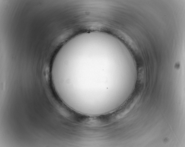 X0000103330589200809192206