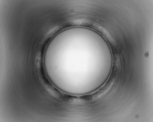 X0000103330590200809192206