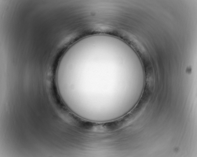 X0000103330591200809192206