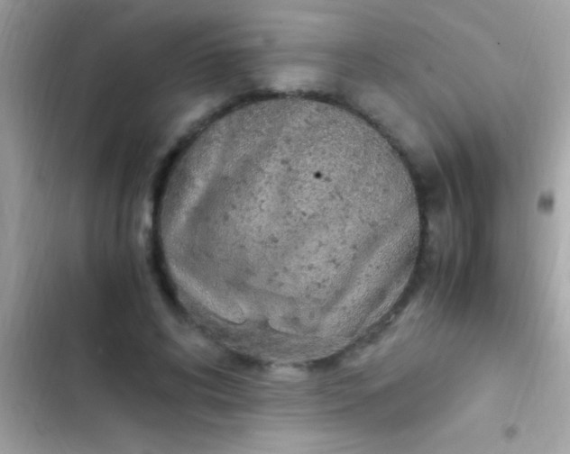 X0000103330592200809192206