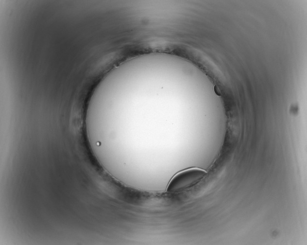 X0000103330593200809192206