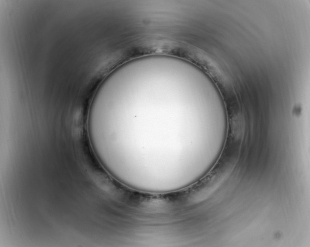 X0000103330594200809192206