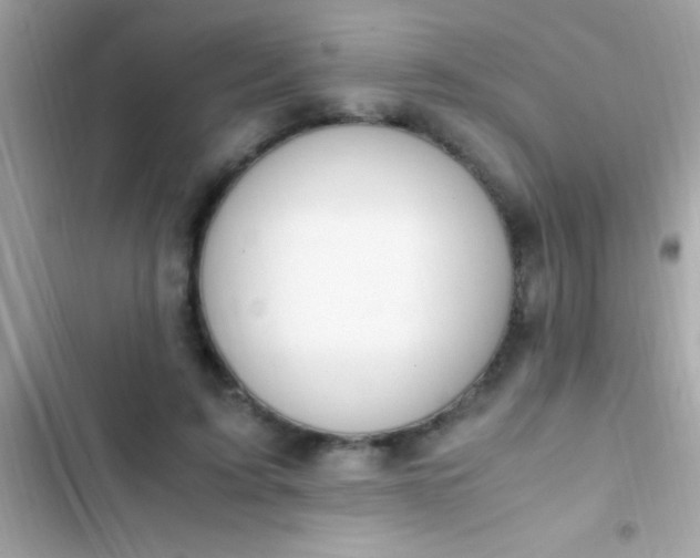 X0000103330595200809192206