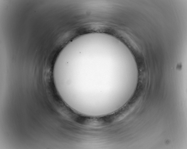 X0000103330597200809192206