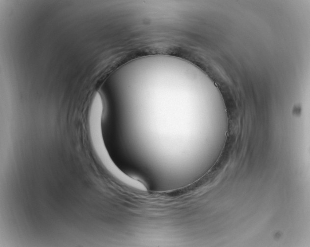 X0000103330599200809192206