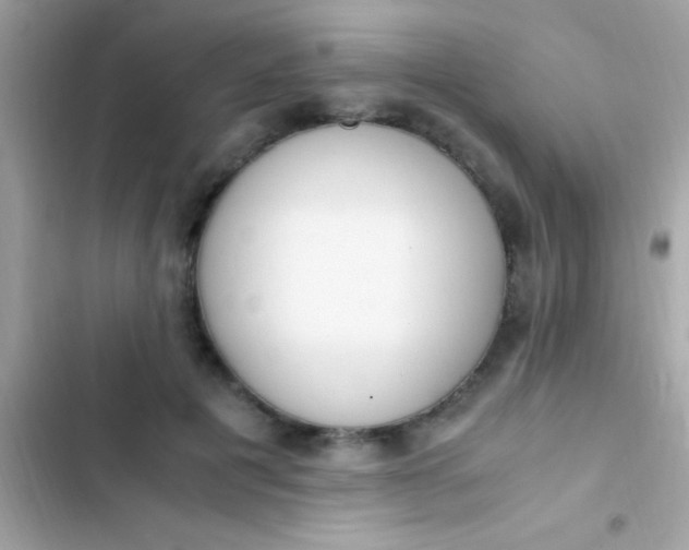 X0000103330601200809192206