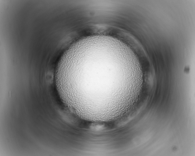 X0000103330602200809192206