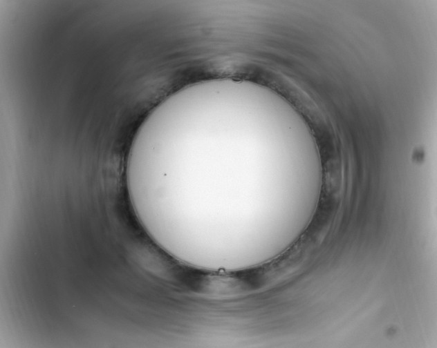 X0000103330605200809192206