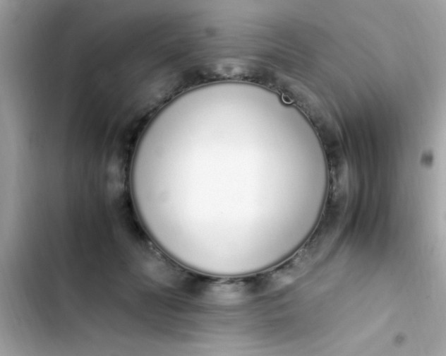 X0000103330606200809192206