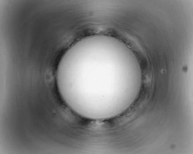 X0000103330607200809192206