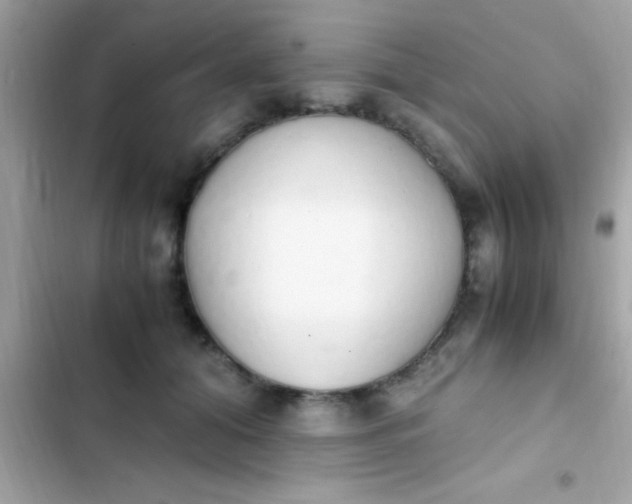 X0000103330608200809192206