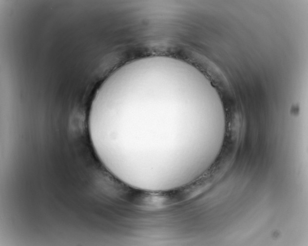 X0000103330610200809192206