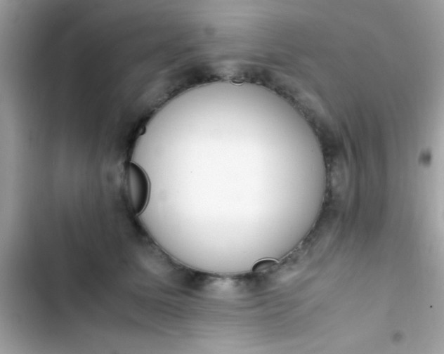 X0000103330611200809192206