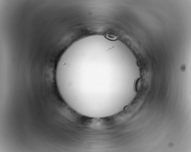 X0000103330612200809192206